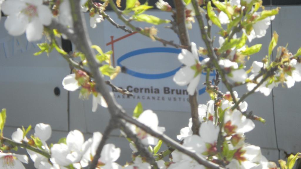 Case Vacanze La Cernia Bruna Isola di Ustica Exteriér fotografie